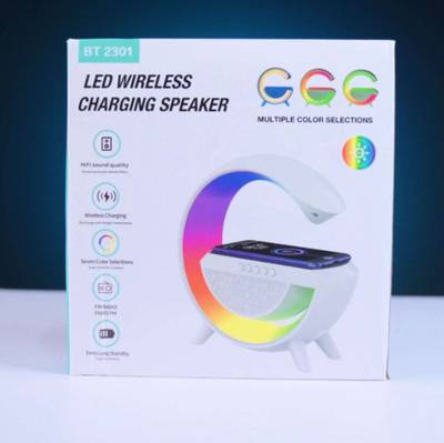 BT2301 KABELLOS LADBARER TRAGBARER BLUETOOTH-LAUTSPRECHER